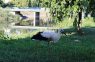 Otok - infootok.com - Dugotrajno putovanje